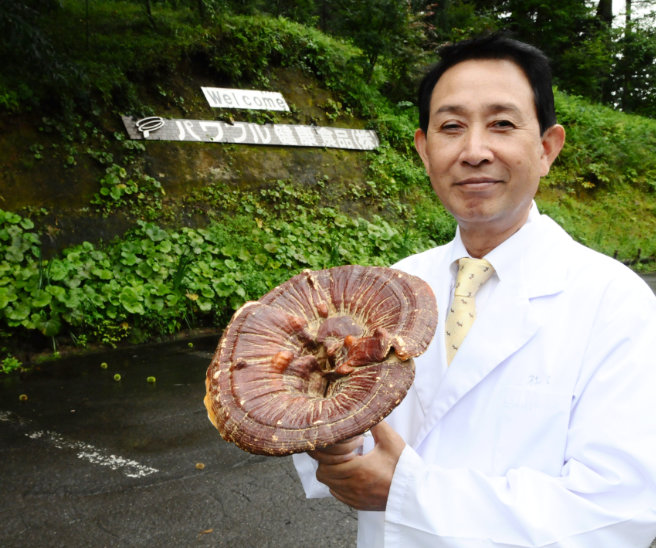 霊芝の研究